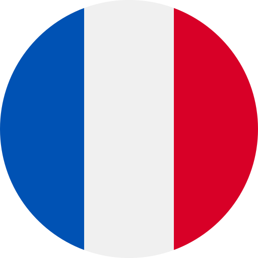 آی پی ثابت فرانسه