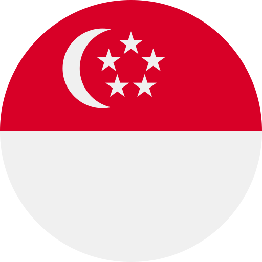 آی پی ثابت سنگاپور